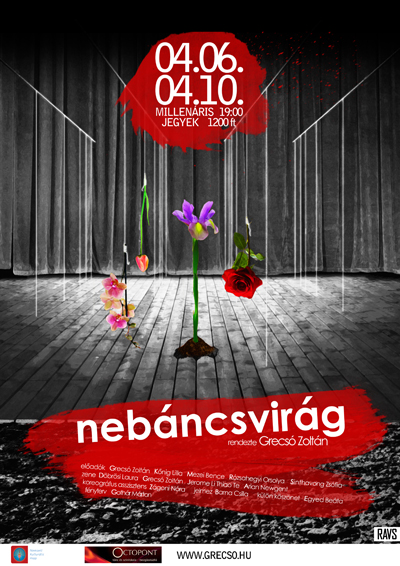 nebancsvirag