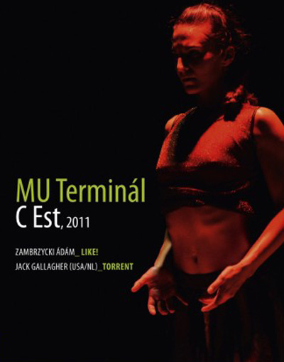 terminalevadzaro2011